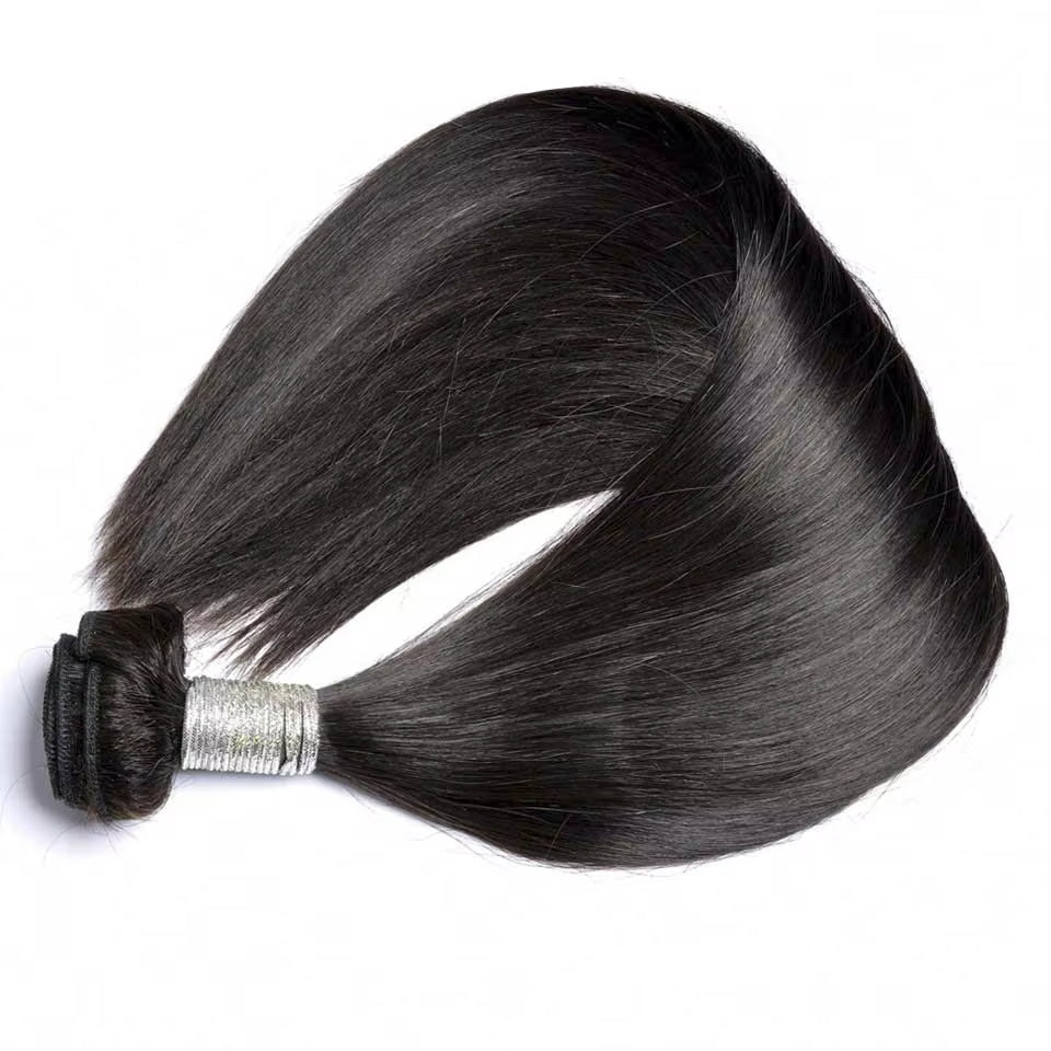 Brazilian Straight Hair 3 Bundles With 4x4 Lace Closure Wig