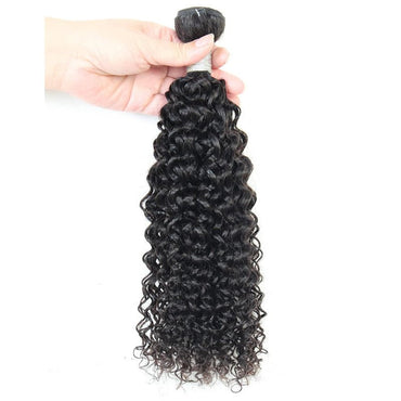 Curly Single Bundles Human Hair Brazilian Virgin Hair - Perismoda Hair
