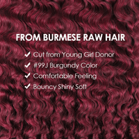 16A Burmese Curly Human Hair Bundles Burgundy 99J Virgin Hair Extensions - Perismoda Hair