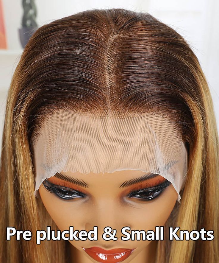 Perismoda 13x4 Brown and Blonde P4/27 Wig HD Lace Pre-Bleached Pre-Plucked