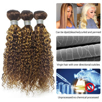 Highlight P4/27 Water Wave 3 Bundles With 4X4 Lace Closure 100% Virgin Human Hair - Perismoda Hair