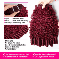 Lemoda 99J Burgundy Burmese Curly Hair Bundles 100% Original Virgin Hair Extensions - Lemoda Hair