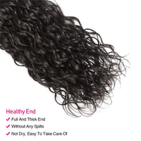 Water Wave Hair 4 Bundles With 4x4 Lace Closure 100% Virgin Human Hair - Perismoda Hair